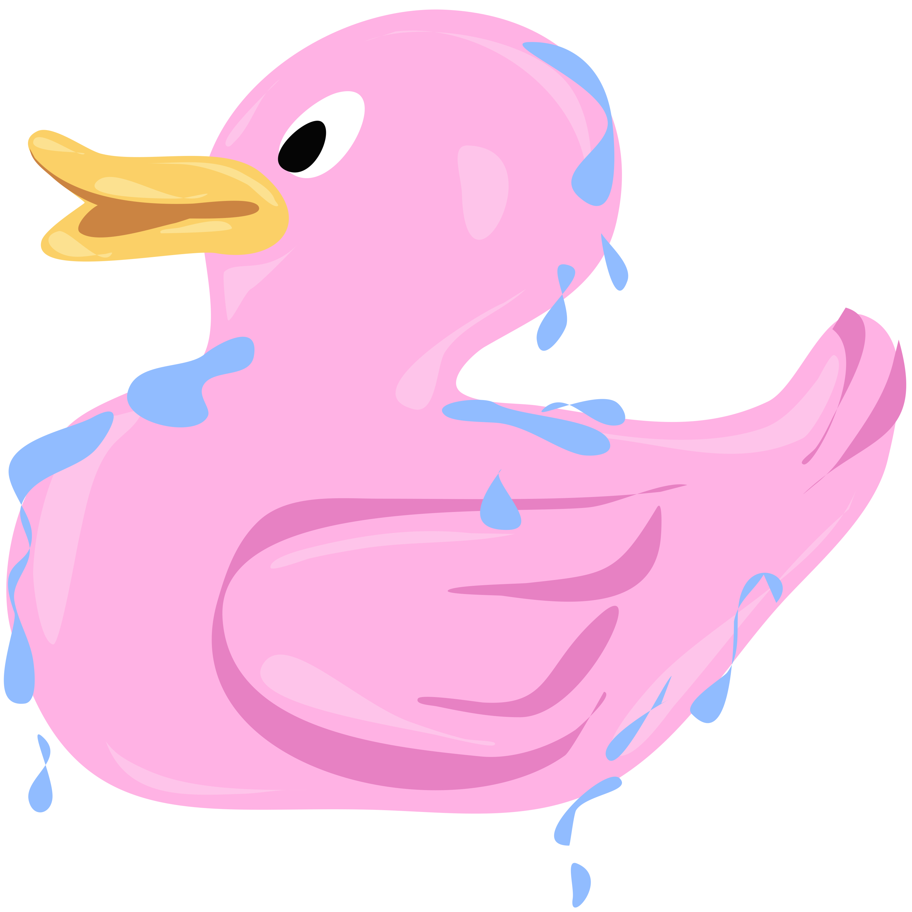 Duck illustration